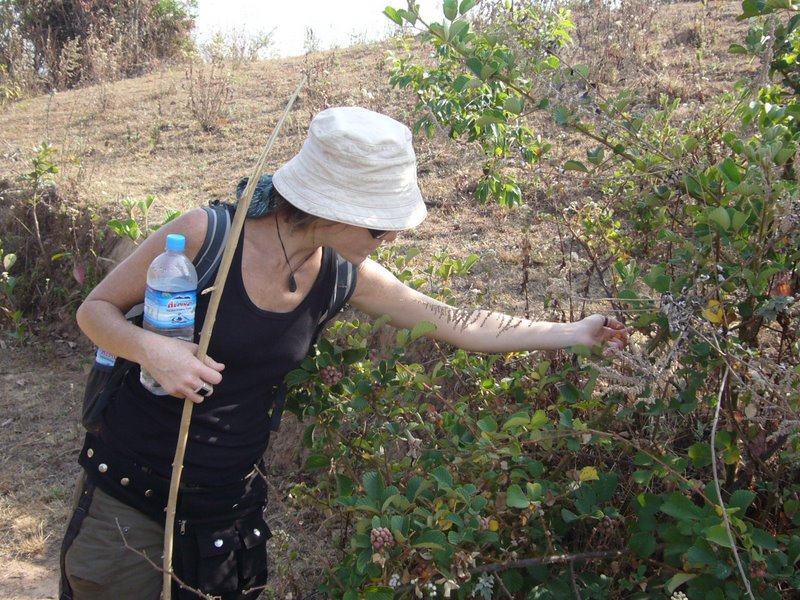 Travel - Myanmar - Kalaw Shan - From Kalaw to the Village